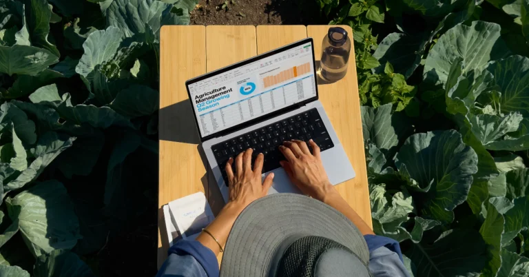 Top laptops of 2024