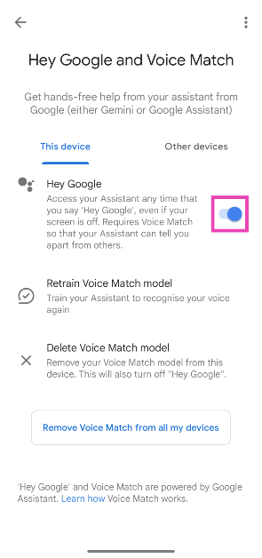 Step 5: Turn off the toggle switch next to Hey Google.