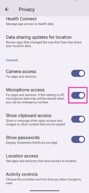 Step 3: Scroll down and turn on/off the toggle switch next to Microphone access.