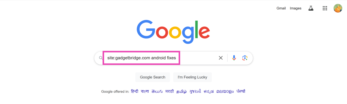 Step 2: Type site: followed by the website URL from which you want the results.