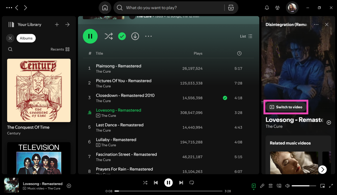 Step 3: On the right panel with the song animation, click on Switch to video.