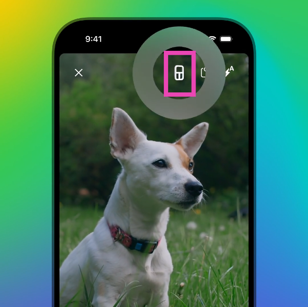 Step 4: Select the collage icon at the top of the screen.