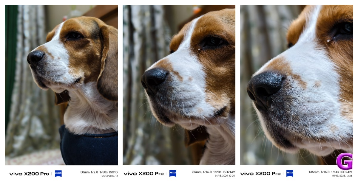 Vivo X200 Pro camera performance