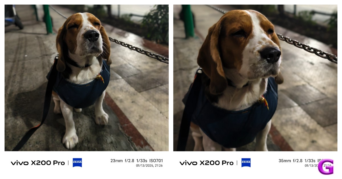 Vivo X200 Pro camera performance