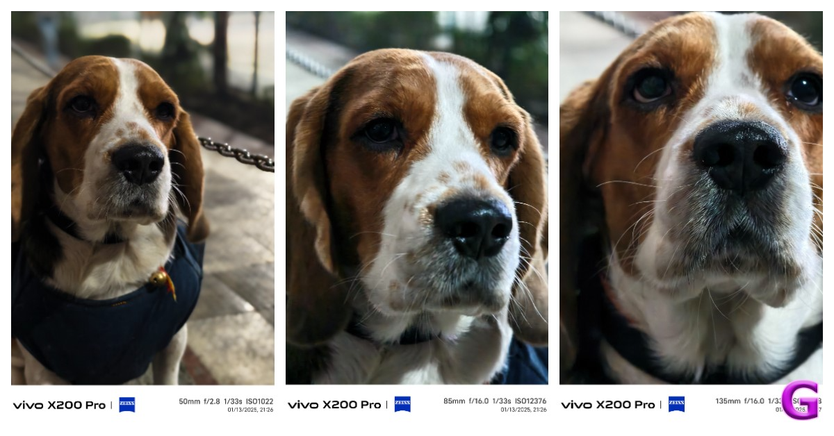 Vivo X200 Pro camera performance