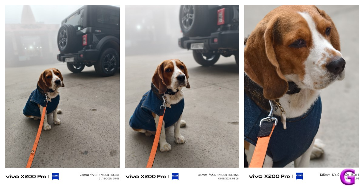 Review of Vivo X200 Pro 