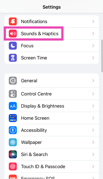 Step 1: Go to Settings and tap on Sound & Haptics. Top 4 ways to mute an iPhone or iPad without using the physical buttons?