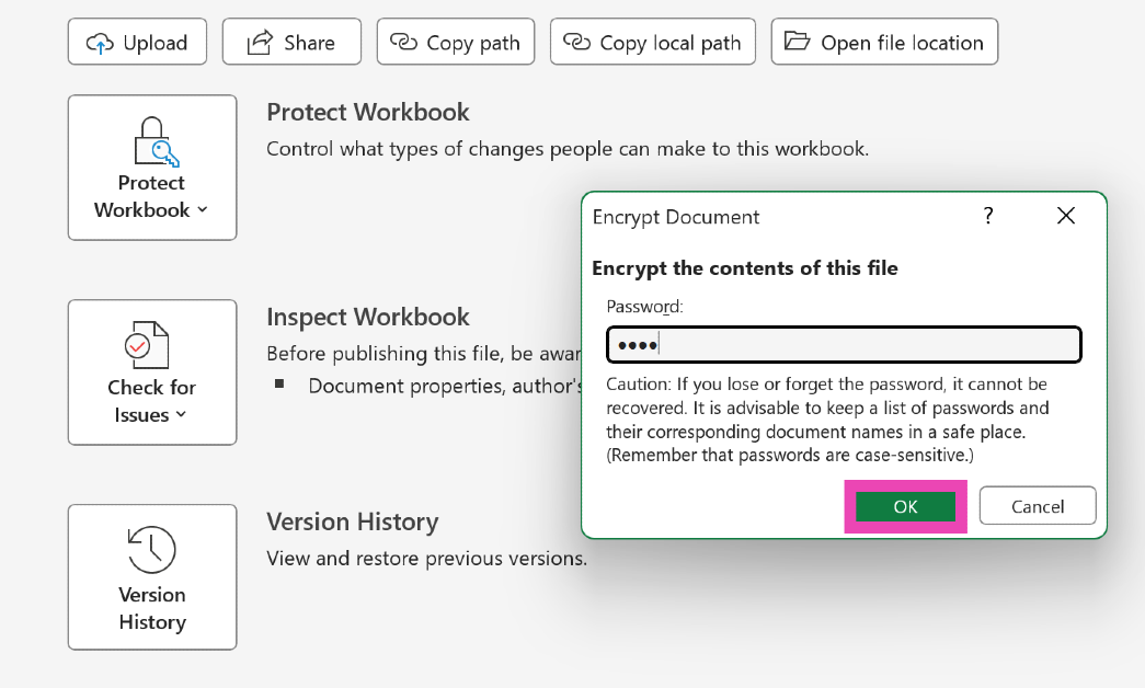Step 5: Create a password and hit OK.