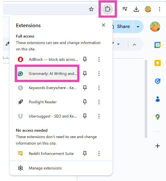 Step 2: Select the Grammarly extension.