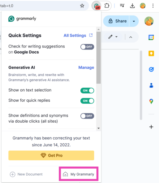 Step 3: Click on My Grammarly.