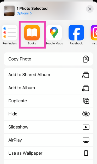 Step 2: Hit the Share icon at the bottom left corner of the screen and export the image(s) to the Books app.