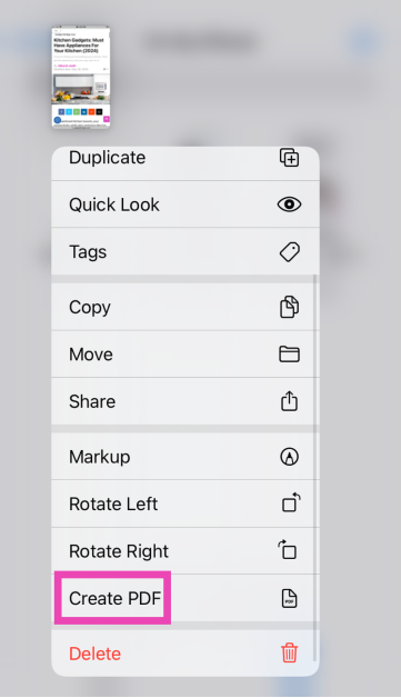 Step 4: Hit Create PDF.