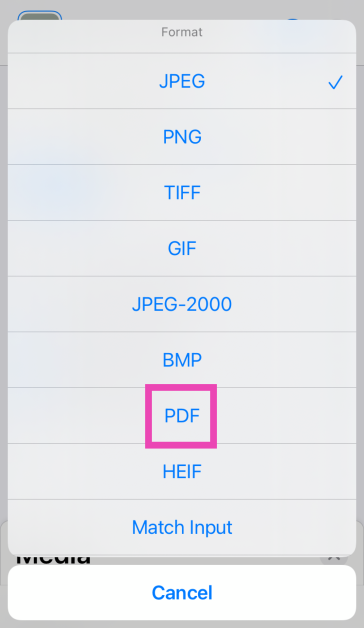 Step 7: Tap on JPEG and select PDF. Top 6 ways to convert a photo to PDF on iPhone