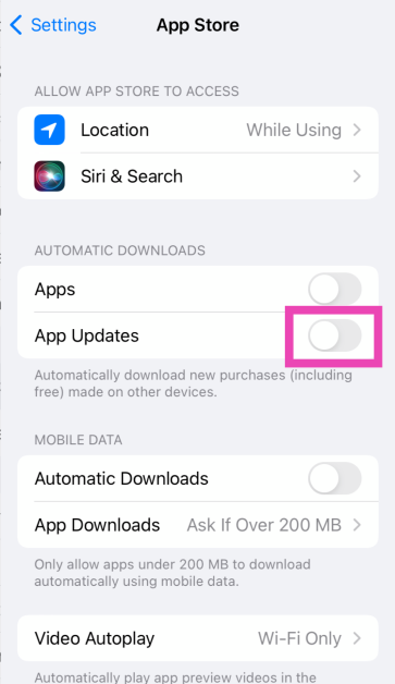 Step 2: Turn on the toggle switch next to App Updates.