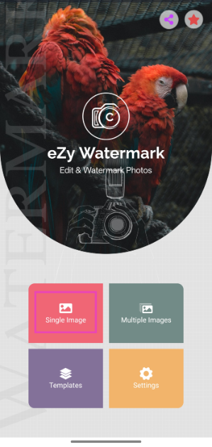 Step 2: Launch the app and select whether you want to watermark a single photo or a bunch of images.