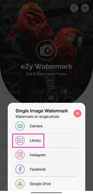 Step 3: Tap on Library to import an image from your phone's gallery. You can also import pictures from Instagram, Facebook, Google Drive, and more.