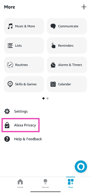 Step 2: Tap on Alexa Privacy.