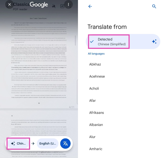 Step 4: Circle to Search will translate the text into your desired language. The language of the text will be mentioned in the bubble at the bottom of the screen. Tap the bubble to view the detected language.