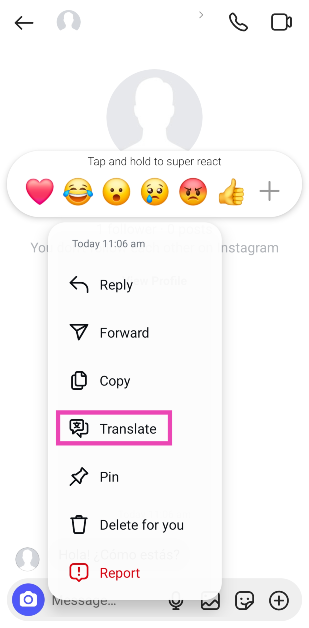 Step 4: Hit Translate.