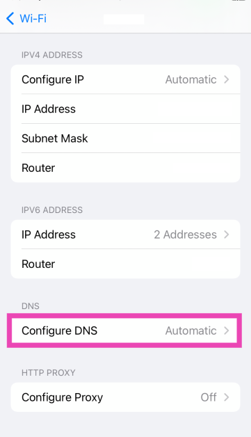 Step 3: Tap on Configure DNS.