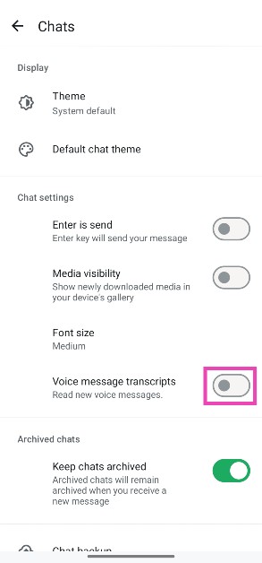 Step 4: Turn on the toggle switch next to Voice Message Transcripts.