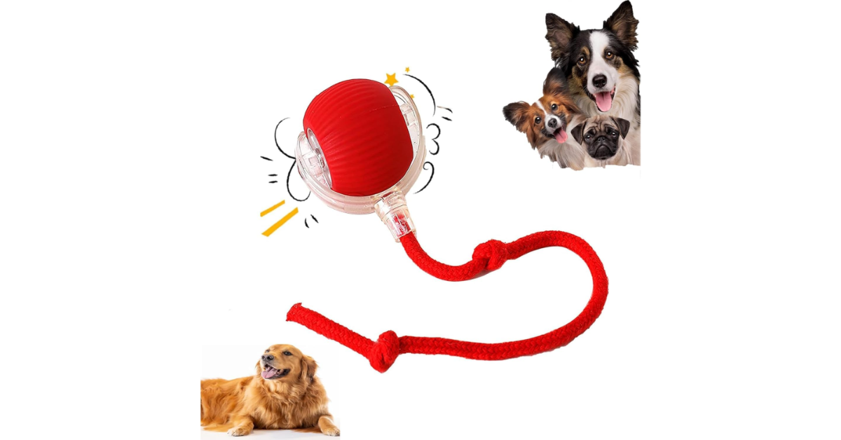 Here are the five best PUP-approved interactive pet toys available on Amazon