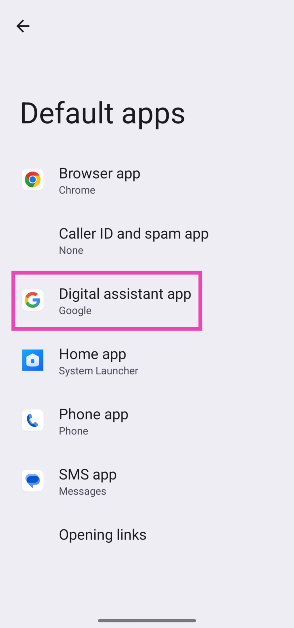 Step 3: Tap on Digital assistant app.