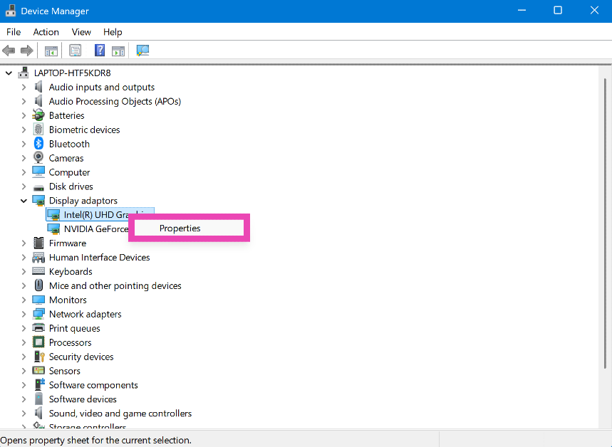 Step 3: Right-click the display driver and select Properties.