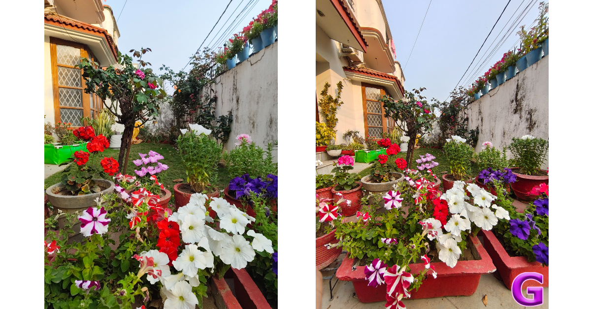 Nothing Phone (3a) Review: Performance and Cameras