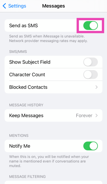 Step 2: Turn on the toggle switch next to Send as SMS.