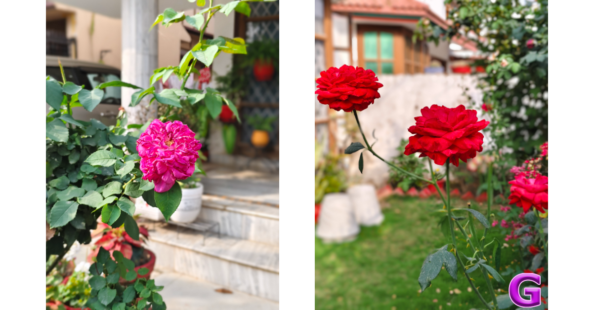iQOO Z10 5G: Performance and Cameras