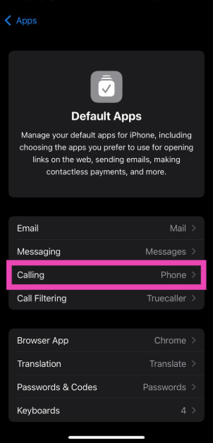 Step 4: Tap on Calling. How to set WhatsApp as the default calling and messaging app on iPhone