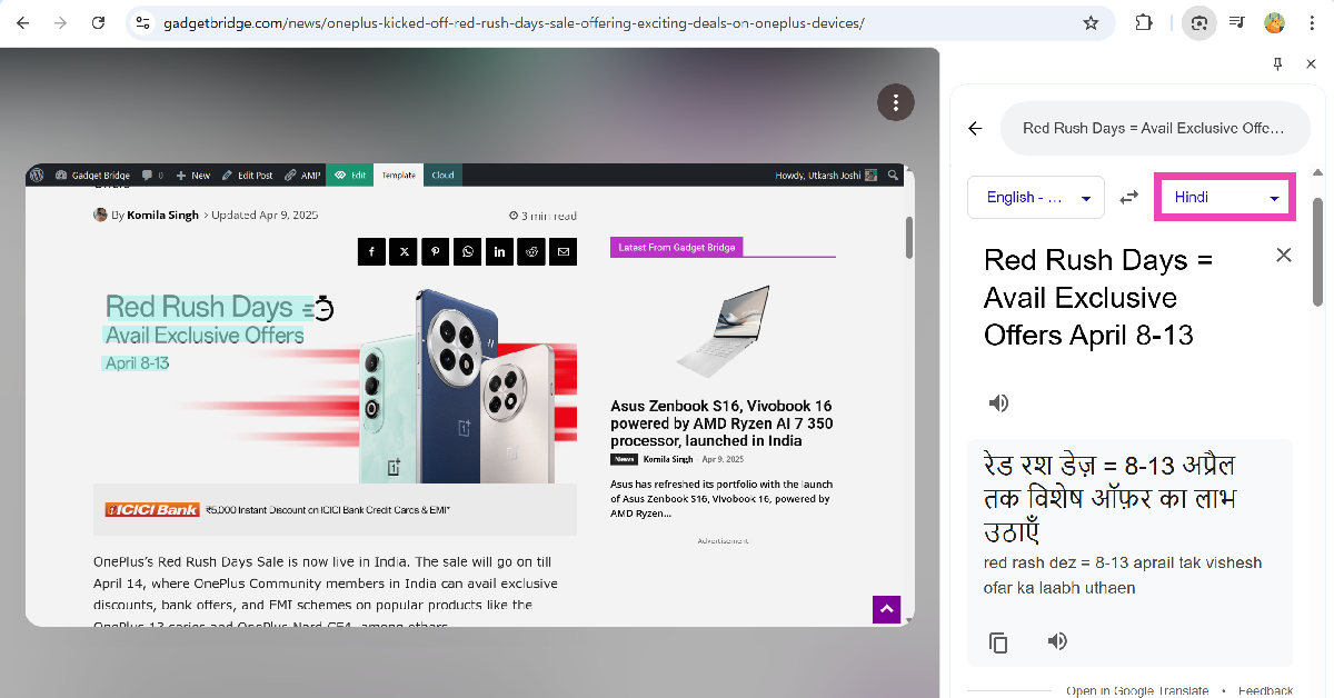 Step 5: The selected text will be translated in the side panel. You can change the language from the sidebar.