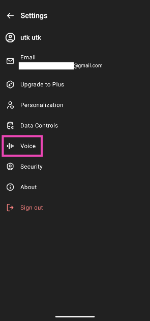 Step 4: Go to Voice.