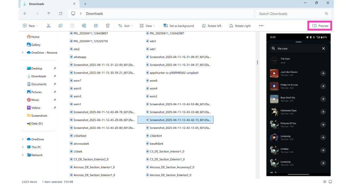 Step 3: Select a file and click the Preview option under the search bar.