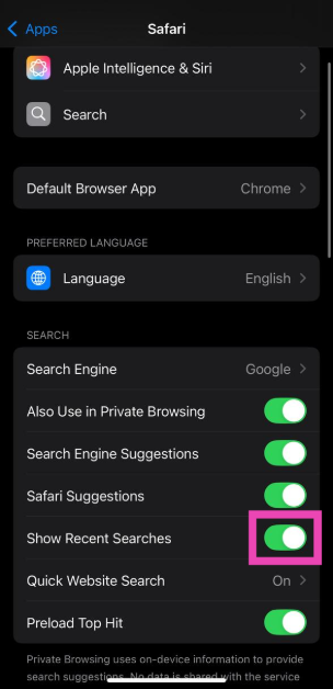 Step 4: Turn off the toggle switch next to Show Recent Searches. How to hide recent searches in Safari