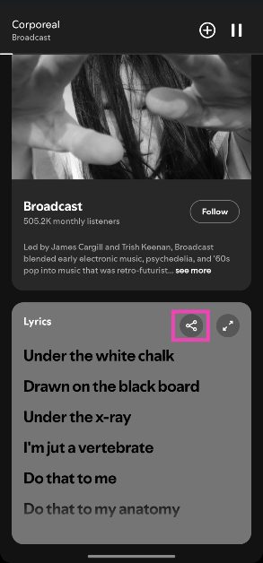 Step 3: Hit the Share icon in the lyrics box.
