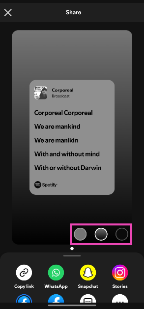 Step 6: Use the icons in the bottom right corner of the lyrics card to choose a background colour.