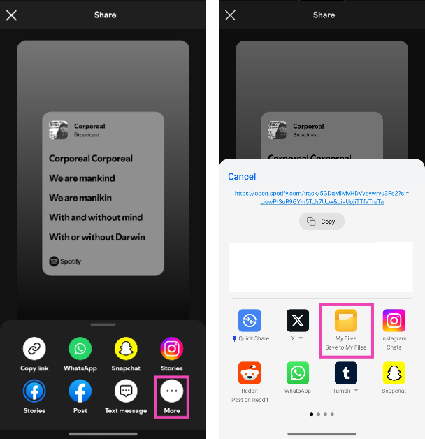 Step 9: To save the lyrics card on your phone, tap on More, swipe to the left, and select Save to My Files.