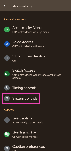 Step 3: Scroll down and select System controls.