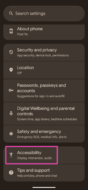 Step 2: Tap on Accessibility.