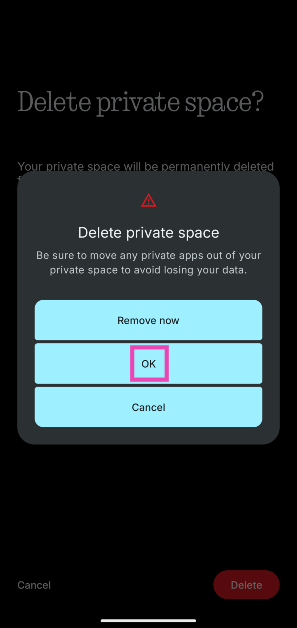 Step 4: Tap on Remove now if you want to remove an app from private space before deleting it.