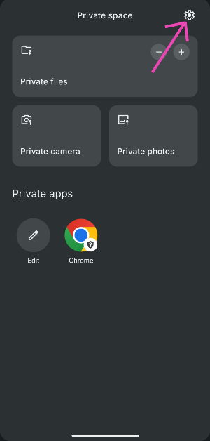 Step 1: Go to private space and tap the gear icon in the top right corner of the screen.