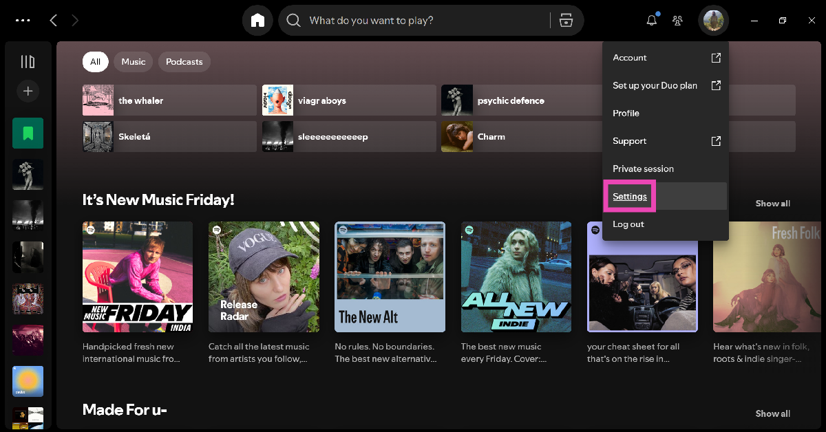 Step 3: Go to Settings. How to disable Canvas and restore album covers on Spotify