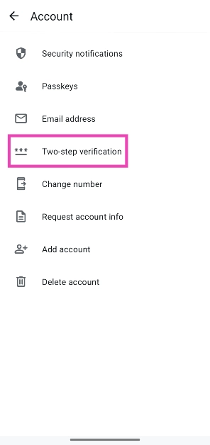 Step 4: Tap on Two-step verification.