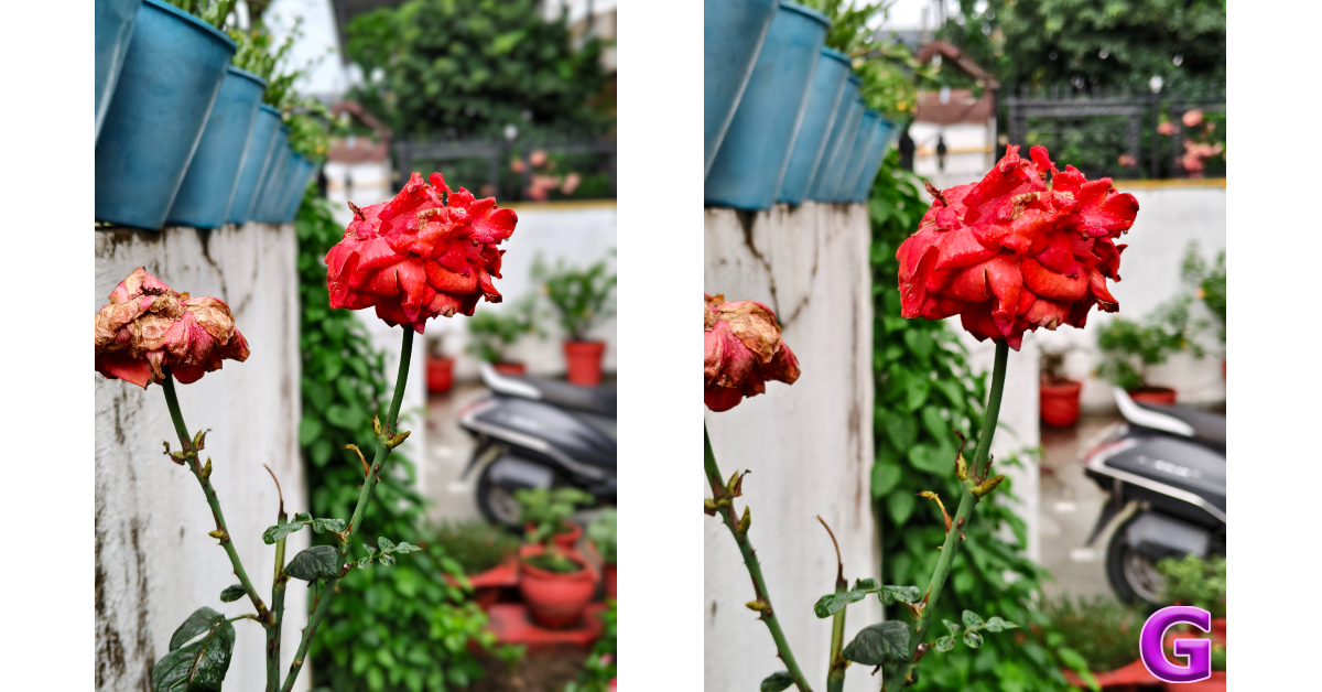 iQOO Neo 10 Review: Performance and Cameras