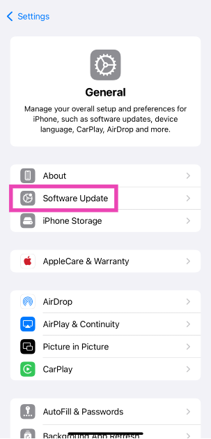 Step 7: Tap on Software Update.