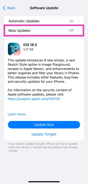 Step 8: Tap on Beta Updates. How to download iOS 26 Developer Beta on your iPhone