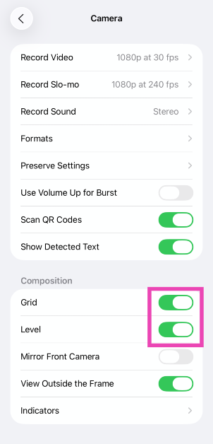 Step 3: Turn on the toggle switches next to Grid and Level. How to add level and grid lines to your Android phone’s camera app