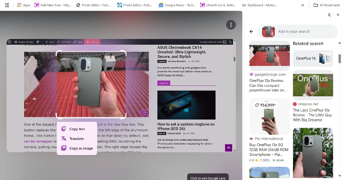 Step 7: Google Lens will search the image on the web.